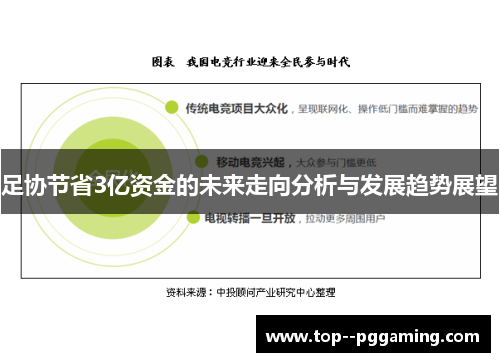 足协节省3亿资金的未来走向分析与发展趋势展望