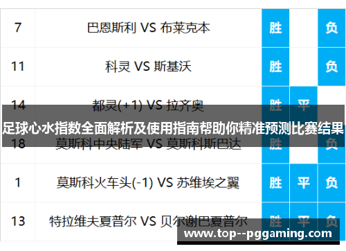 足球心水指数全面解析及使用指南帮助你精准预测比赛结果