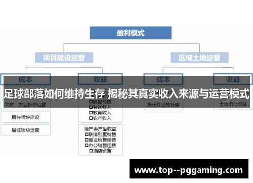 足球部落如何维持生存 揭秘其真实收入来源与运营模式