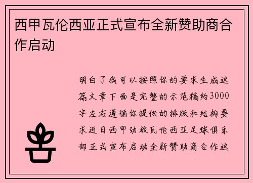 西甲瓦伦西亚正式宣布全新赞助商合作启动